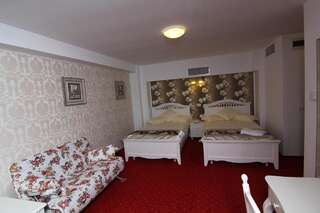 Отель Hotel Helin Central Крайова Улучшенный двухместный номер с 1 кроватью или 2 отдельными кроватями-4