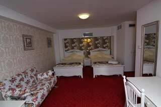 Отель Hotel Helin Central Крайова Улучшенный двухместный номер с 1 кроватью или 2 отдельными кроватями-7