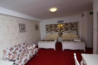 Отель Hotel Helin Central Крайова Улучшенный двухместный номер с 1 кроватью или 2 отдельными кроватями-14