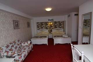 Отель Hotel Helin Central Крайова Улучшенный двухместный номер с 1 кроватью или 2 отдельными кроватями-16